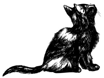 Similar image 169975