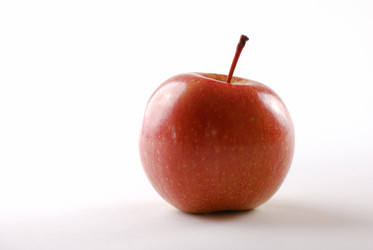 Similar image 169984