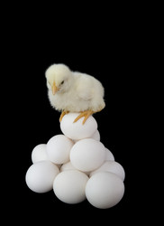 Similar image 169992