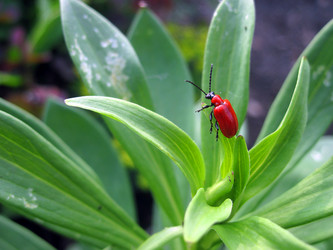 Similar image 170023