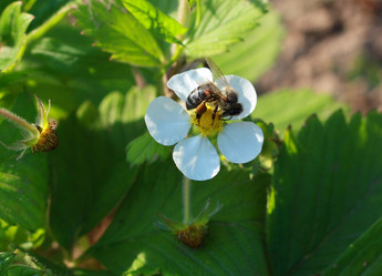 Similar image 170048