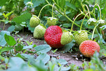 Similar image 170051