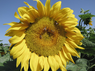 Similar image 170052