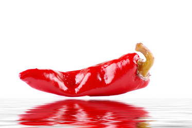 Similar image 170054