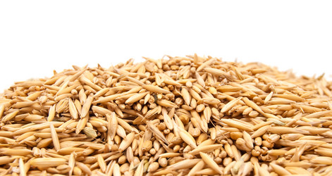 Similar image 170067