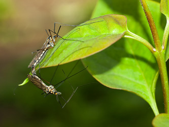 Similar image 170100