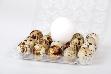 Similar image 170101