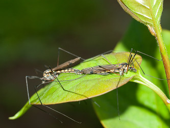 Similar image 170102