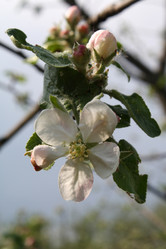 Similar image 170118