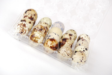 Similar image 170156