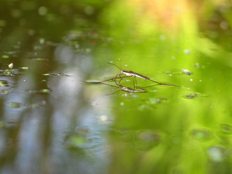 Similar image 170158