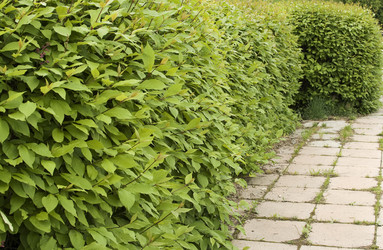 Similar image 170164