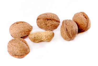 Similar image 170203