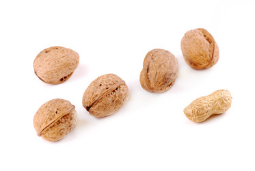 Similar image 170204