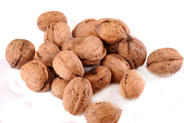 Similar image 170210