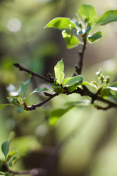 Similar image 170219