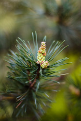 Similar image 170224