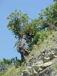 Similar image 170236