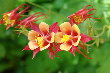 Similar image 170247