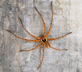 Similar image 170266