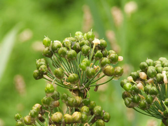 Similar image 170274