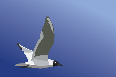 Similar image 170279