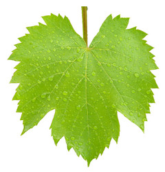 Similar image 170289