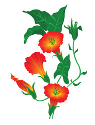 Similar image 170303