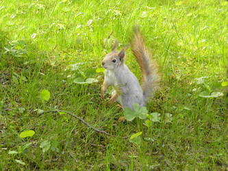 Similar image 170324