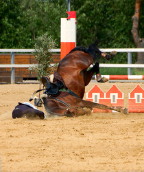 Similar image 170326