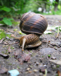 Similar image 170373