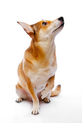 Similar image 170382