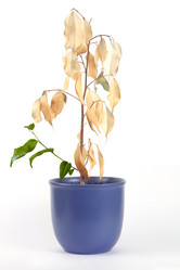 Similar image 170385