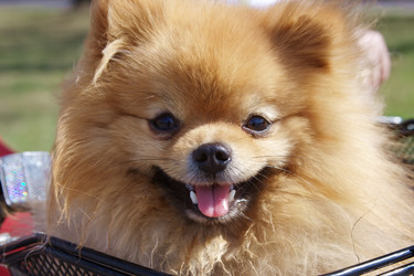 Similar image 170390