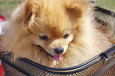 Similar image 170392