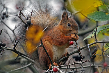 Similar image 170414