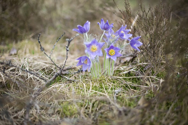 Similar image 170443