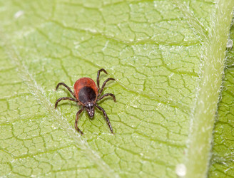 Similar image 170444