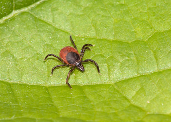 Similar image 170445