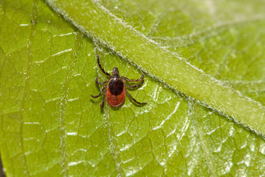 Similar image 170446