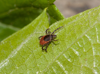 Similar image 170447