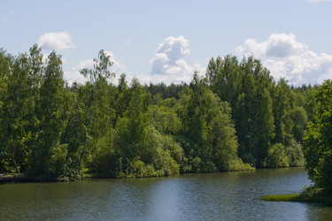 Similar image 170457