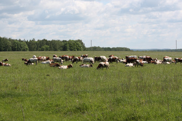 Similar image 170458