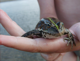 Similar image 170459