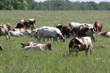 Similar image 170461