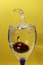 Similar image 170504