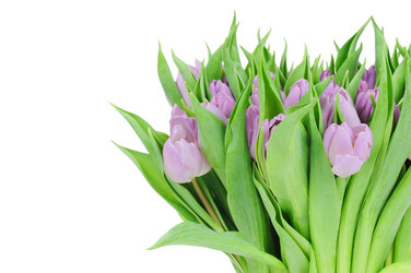 Similar image 170563