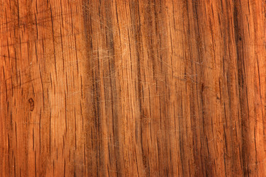 Similar image 170567