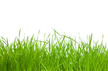 Similar image 170585