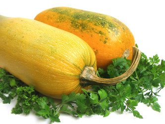 Similar image 170608